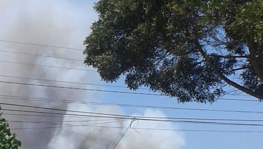 San Antonio Logran Extinguir Incendio En Fundo El Jumbito Puranoticia Cl