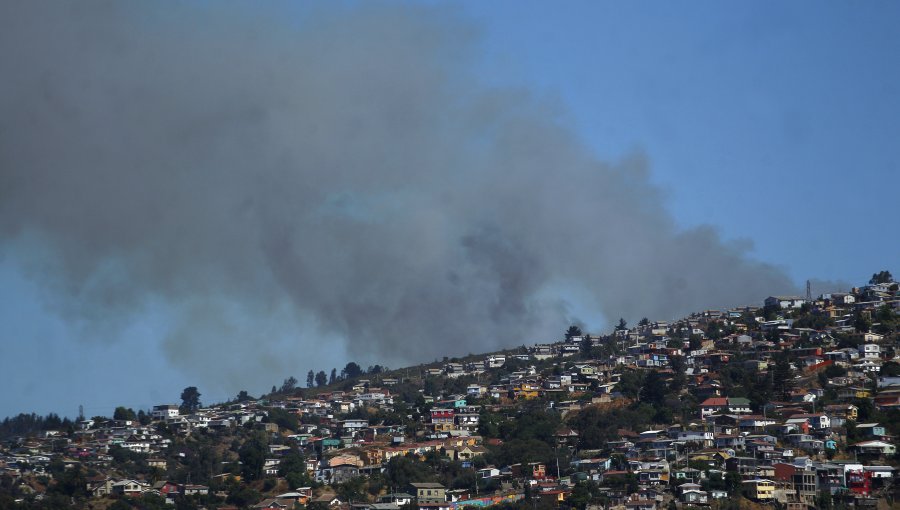 Alerta Roja en Valparaíso Incendio forestal con fuego de rápido