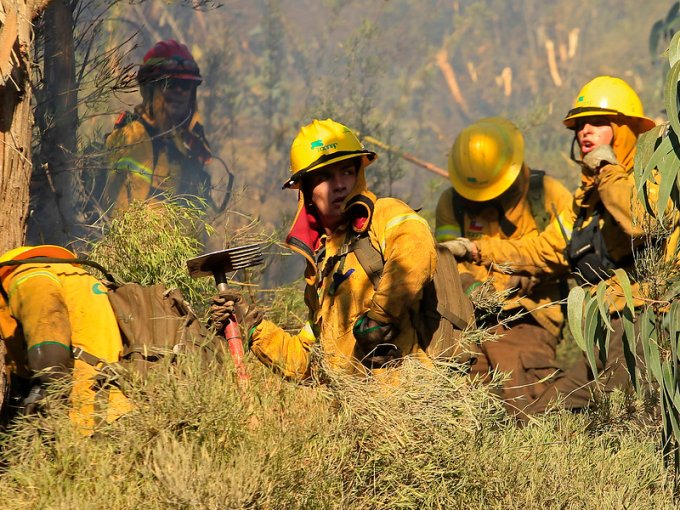 Activo Se Mantiene Incendio Forestal En Traigu N Ha Consumido