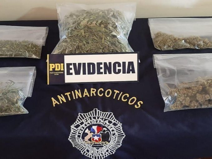 Pdi Incauta Medio Kilo De Marihuana Dosificada Y Lista Para Ser