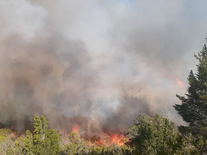 Declaran Alerta Roja para la comuna de Valparaíso por incendio forestal