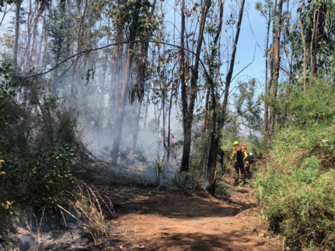 Activo Se Mantiene Incendio Forestal Que Afecta A La Reserva Nacional