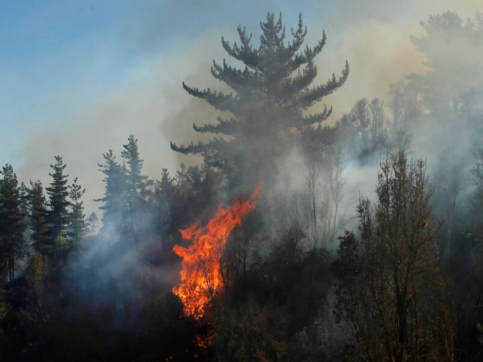 Declaran Alerta Roja Para La Comuna De La Estrella Por Incendio