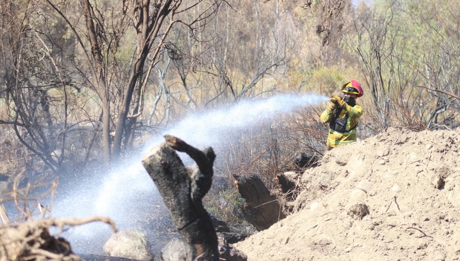 Incendio Forestal Ha Consumido Hect Reas En Monte Patria Cancelan