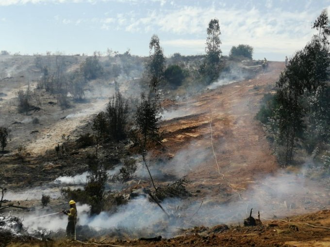 Controlan el incendio forestal en Reserva Lago Peñuelas y decretan