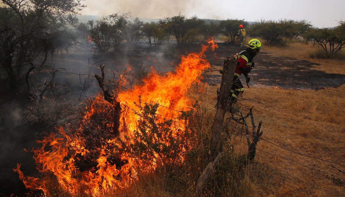 Incendio Forestal Ha Consumido Al Menos Hect Reas De Bosque Nativo