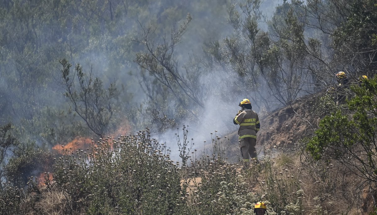 Equipos De Emergencia Contin An Combatiendo Incendio Forestal Entre