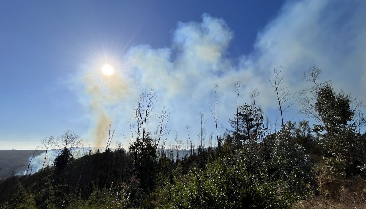 Declaran Alerta Amarilla para la comuna de Valparaíso por incendio