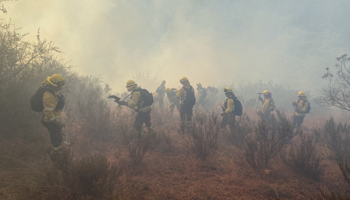 Conaf llama a reforzar medidas para prevenir incendios en la región de