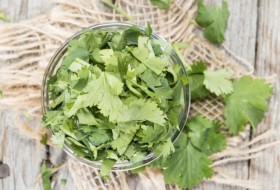 Diferentes usos del cilantro que te sorprenderán