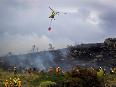 Declaran alerta temprana preventiva entre regiones de Coquimbo y Maule por riesgo de incendios