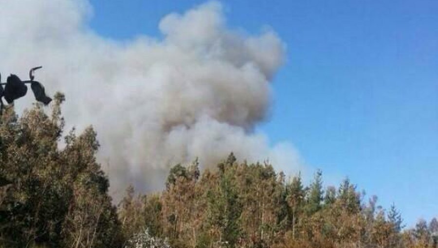 Onemi declara alerta roja en Valparaíso por incendio forestal en Lago Peñuelas