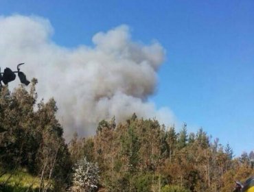 Onemi declara alerta roja en Valparaíso por incendio forestal en Lago Peñuelas