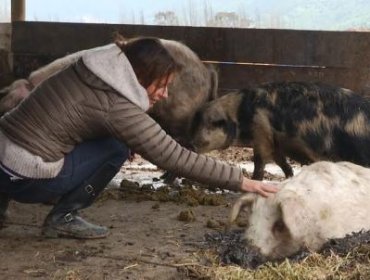 Katherine Salosny “cosechará” en Adopta un Famoso