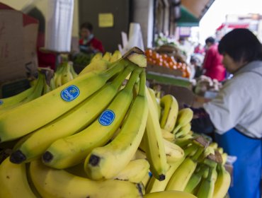 Consorcio brasileño Cutrale-Safra compra Chiquita por 1.300 millones dólares