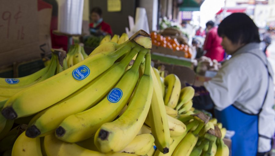 Consorcio brasileño Cutrale-Safra compra Chiquita por 1.300 millones dólares