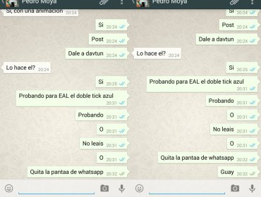 Llegó el día: WhatsApp se actualiza y muestra cuando los mensajes son leídos