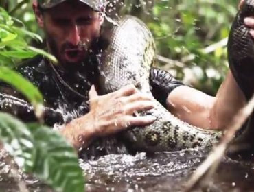 Impactante: Show de TV mostrará a un hombre mientras es comido vivo por una anaconda