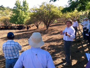 Indap capacita a pequeños agricultores de la Provincia de Petorca