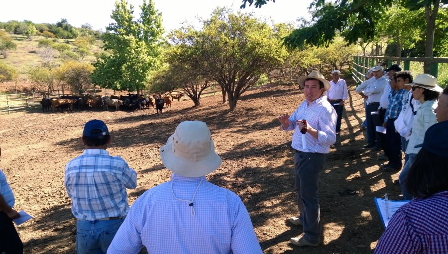 Indap capacita a pequeños agricultores de la Provincia de Petorca