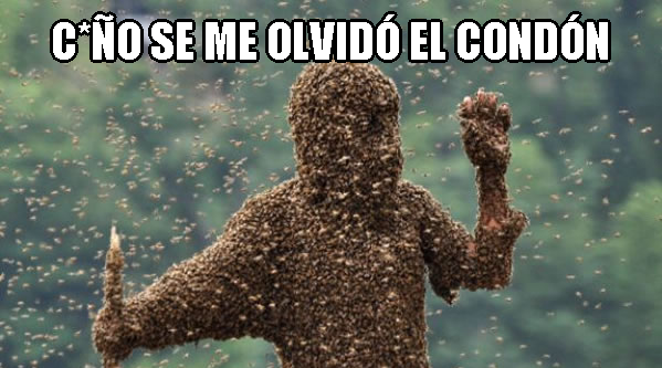 Hombre de 35 años muere por masturbarse con un panel de abejas