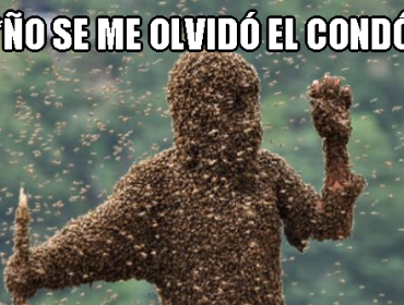 Hombre de 35 años muere por masturbarse con un panel de abejas