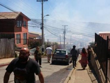 Onemi declara Alerta Roja por voraz incendio forestal en cerro Los Placeres de Valparaíso