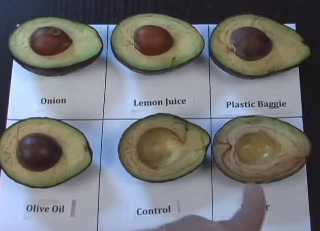 ¿Amas la palta pero odias cuando se oxida? Te mostramos un video que explica cómo evitarlo