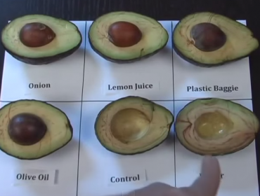 ¿Amas la palta pero odias cuando se oxida? Te mostramos un video que explica cómo evitarlo