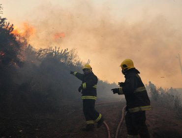 Onemi anuncia alerta preventiva en Valparaíso por altas temperaturas.