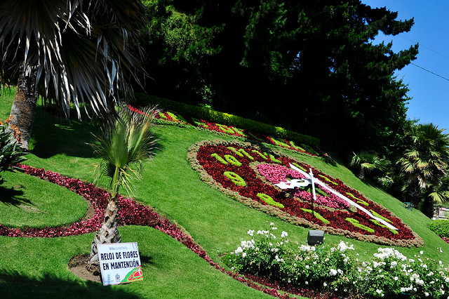 En mantención se encuentra el reloj de flores de Viña