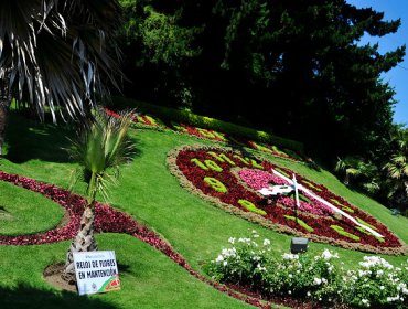 En mantención se encuentra el reloj de flores de Viña