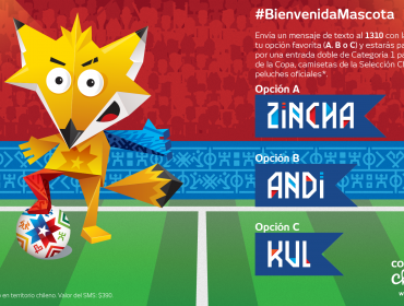 Conoce a la mascota oficial que animará la Copa América 2015