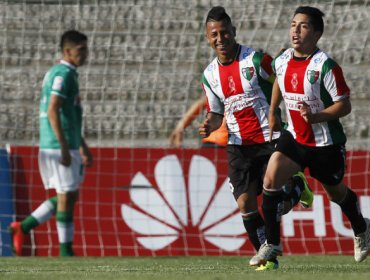 Copa Chile: Palestino y U.de Concepción se instalan en semifinales