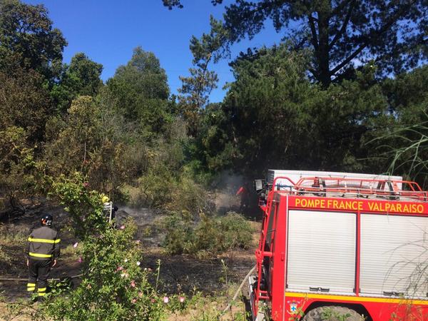 Incendio forestal afecta a sector del Camino La Pólvora en Valparaíso