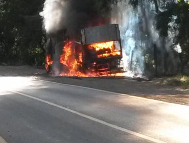 Camión con productos químicos se incendia camino a Farellones y cierran la vía