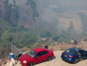 Declaran alerta roja en Quillota por gran incendio forestal