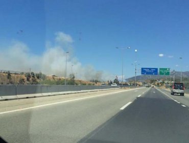 Se declara Alerta Roja para la comuna de Villa Alemana por incendio forestal