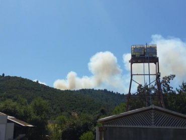 Incendio en Ruta 68 pone en alerta a unidades de emergencias