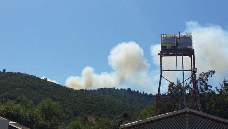 Incendio en Ruta 68 pone en alerta a unidades de emergencias