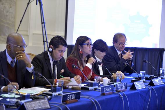 Jefa de Planes y Programas de la seremi MINVU Valparaíso expuso en la semana de la Sostenibilidad de la OEA