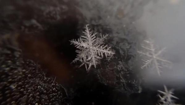 Video muestra cómo se forma un copo de nieve