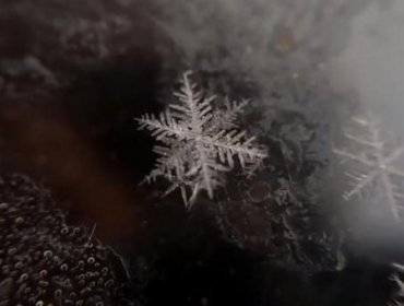 Video muestra cómo se forma un copo de nieve