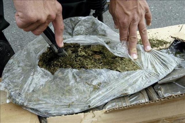 Decomisan en Bolivia media tonelada de marihuana procedente de Paraguay