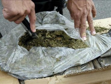 Decomisan en Bolivia media tonelada de marihuana procedente de Paraguay