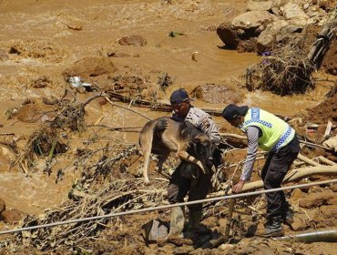 Autoridades elevan a 51 los muertos por una avalancha de tierra en Indonesia