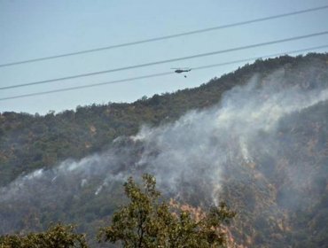 Declaran Alerta Roja en Curacaví por gigantesco incendio forestal