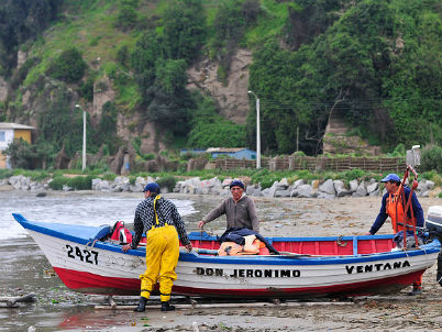 Minsal levantó prohibición de pesca y consumo sobre productos marinos en la bahía de Quintero