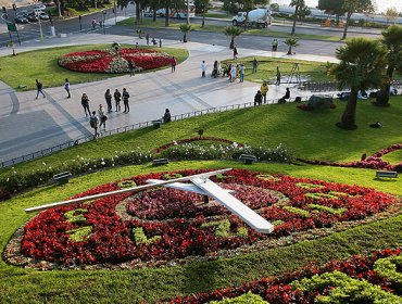 Se protagoniza un nuevo ataque de joven ebrio a reloj de flores en Viña del Mar