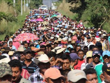 Nuncio Apostólico oficiará misa para los padres de desaparecidos en México